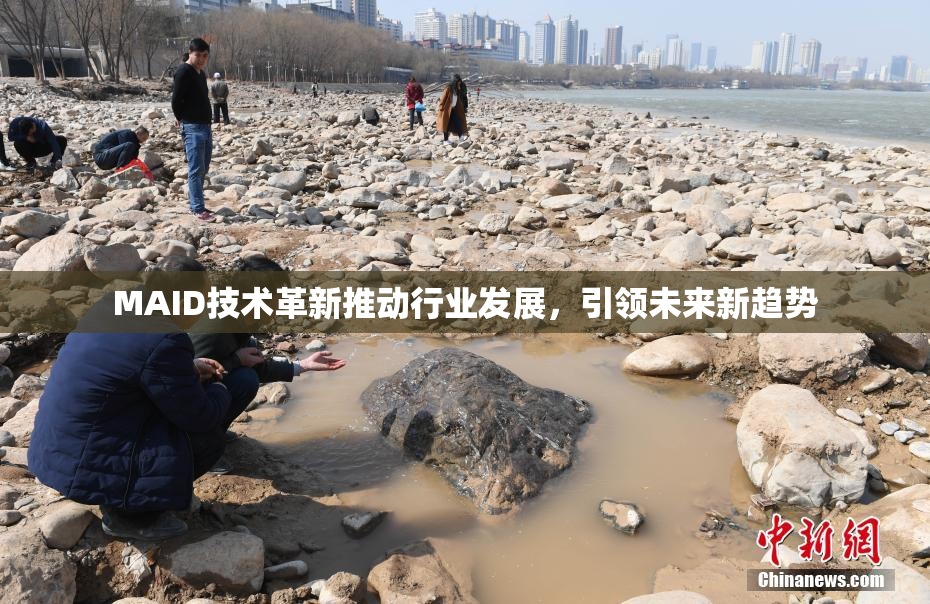 MAID技术革新推动行业发展，引领未来新趋势