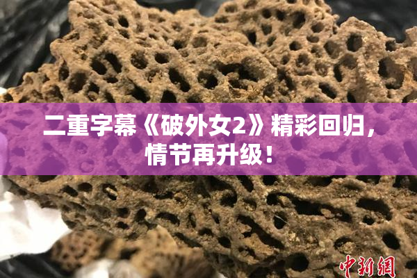 二重字幕《破外女2》精彩回归，情节再升级！