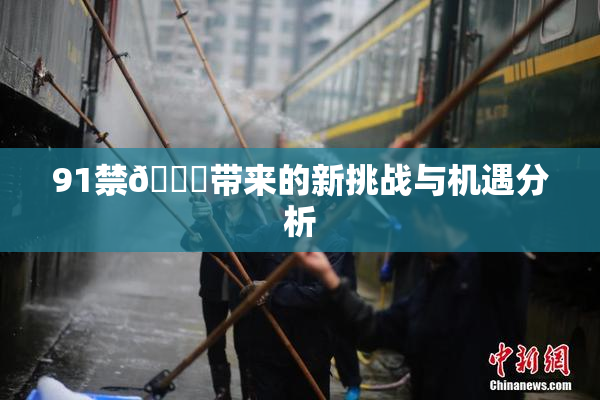 91禁🍆带来的新挑战与机遇分析
