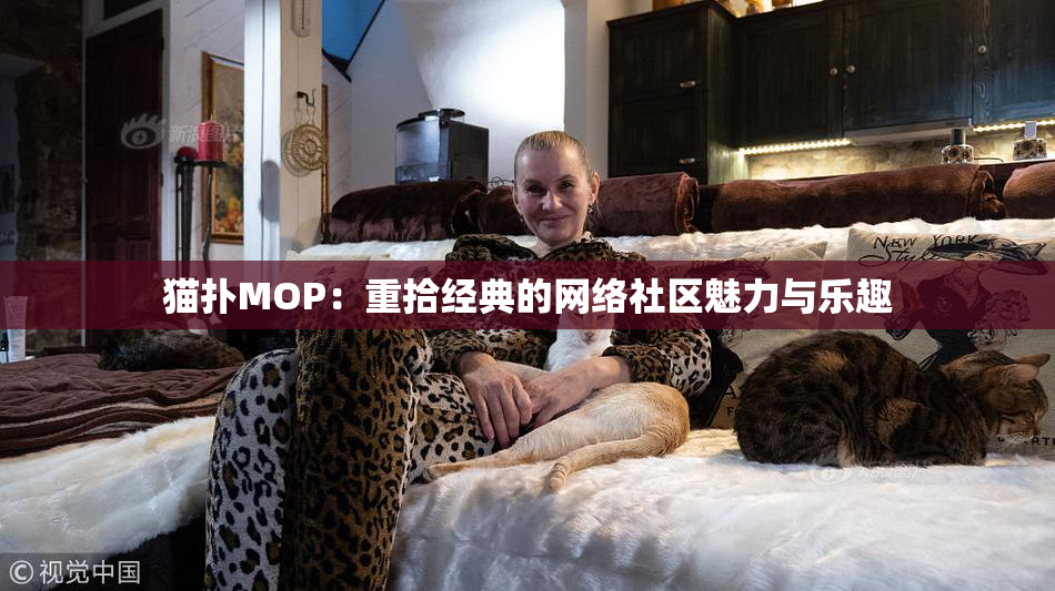 猫扑MOP：重拾经典的网络社区魅力与乐趣