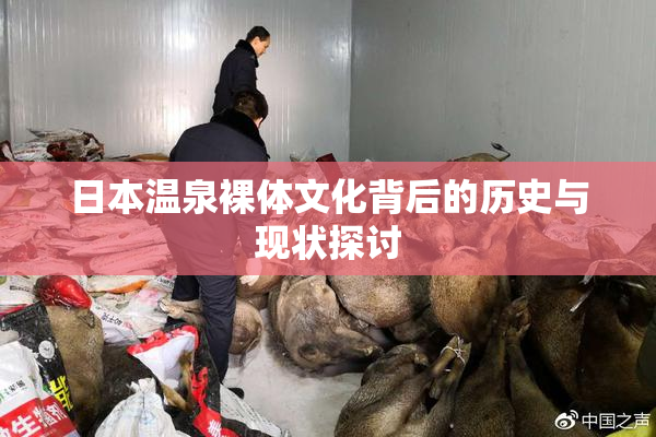 日本温泉裸体文化背后的历史与现状探讨