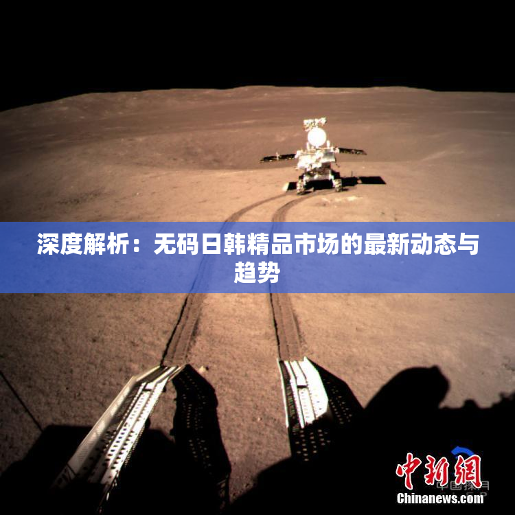 深度解析：无码日韩精品市场的最新动态与趋势
