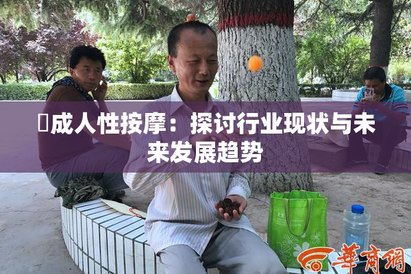 巜成人性按摩：探讨行业现状与未来发展趋势