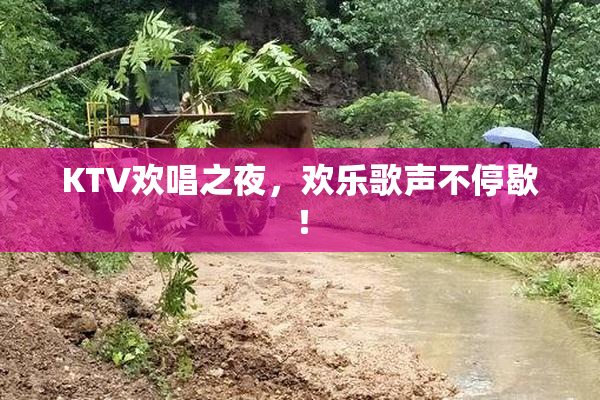 KTV欢唱之夜，欢乐歌声不停歇！