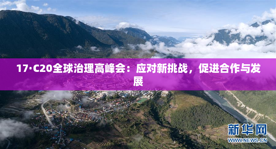 17·C20全球治理高峰会：应对新挑战，促进合作与发展