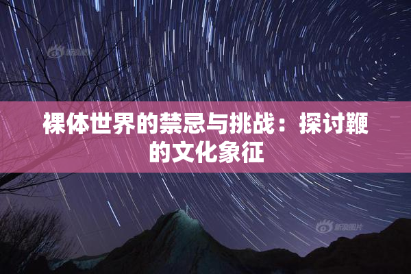 裸体世界的禁忌与挑战：探讨鞭的文化象征