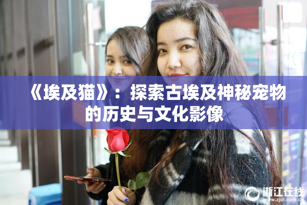 《埃及猫》：探索古埃及神秘宠物的历史与文化影像