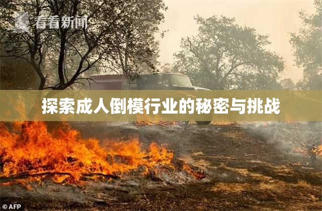 探索成人倒模行业的秘密与挑战