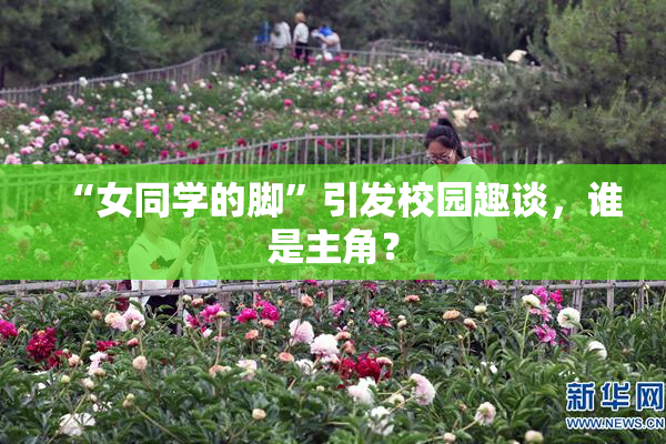 “女同学的脚”引发校园趣谈，谁是主角？