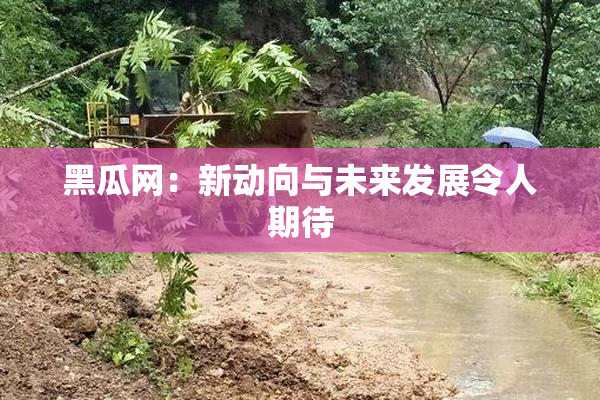 黑瓜网：新动向与未来发展令人期待