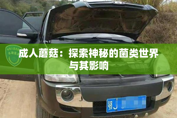 成人蘑菇：探索神秘的菌类世界与其影响