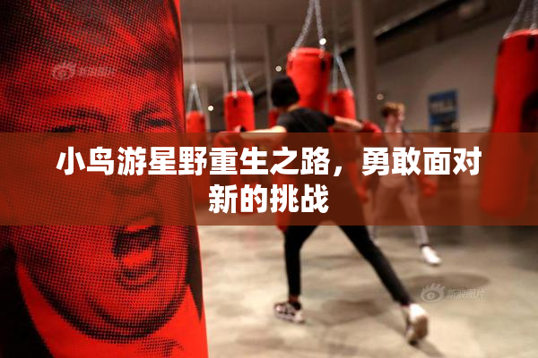 小鸟游星野重生之路，勇敢面对新的挑战