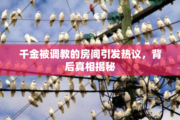千金被调教的房间引发热议，背后真相揭秘