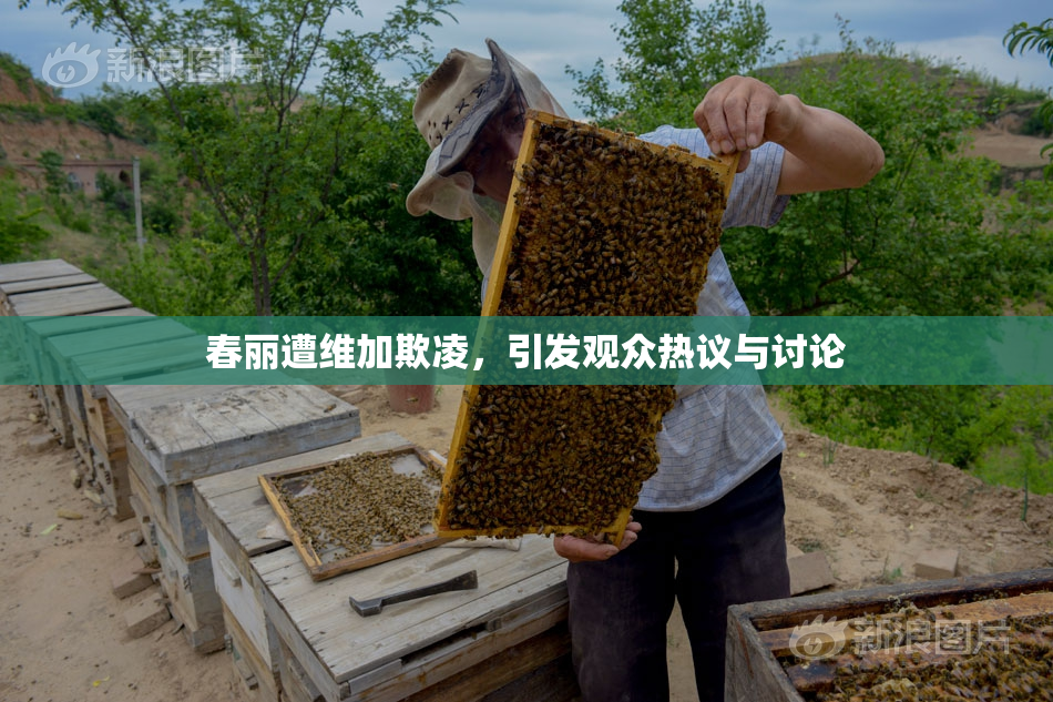 春丽遭维加欺凌，引发观众热议与讨论