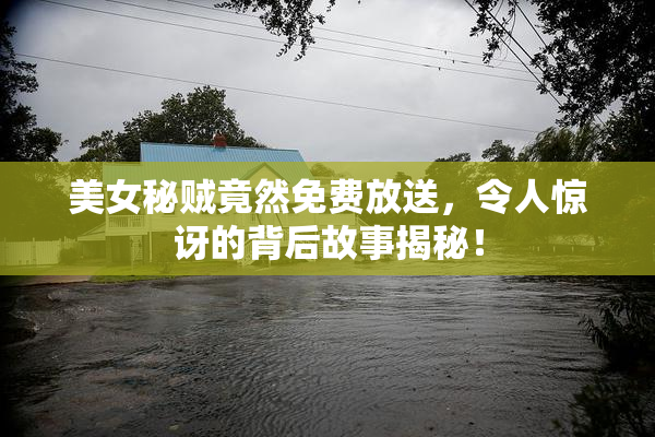 美女秘贼竟然免费放送，令人惊讶的背后故事揭秘！