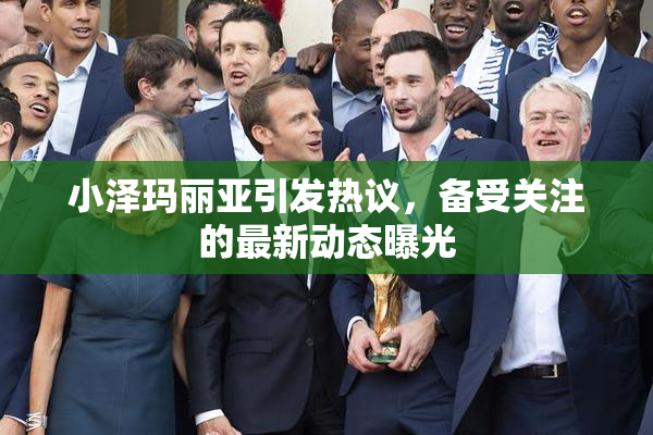 小泽玛丽亚引发热议，备受关注的最新动态曝光