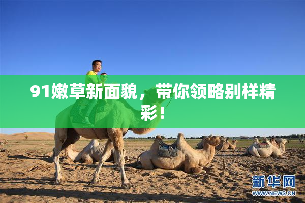 91嫩草新面貌，带你领略别样精彩！