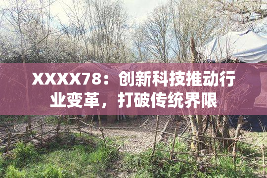 XXXX78：创新科技推动行业变革，打破传统界限