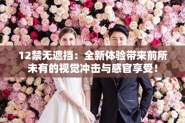 12禁无遮挡：全新体验带来前所未有的视觉冲击与感官享受！