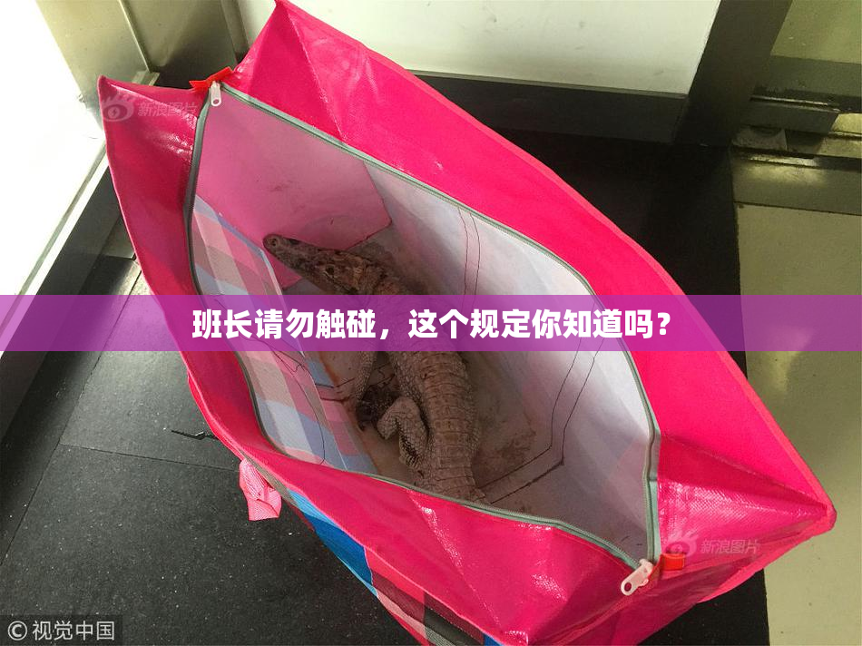 班长请勿触碰，这个规定你知道吗？