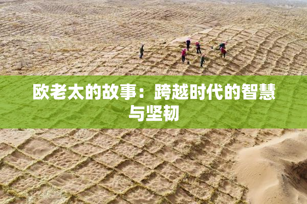 欧老太的故事：跨越时代的智慧与坚韧