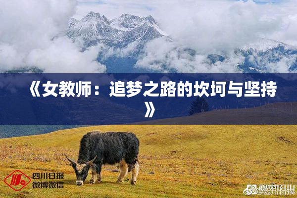 《女教师：追梦之路的坎坷与坚持》