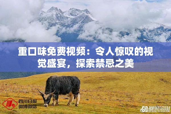 重口味免费视频：令人惊叹的视觉盛宴，探索禁忌之美