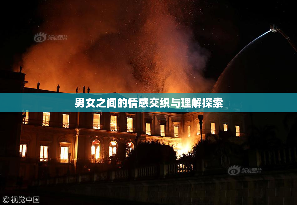 男女之间的情感交织与理解探索
