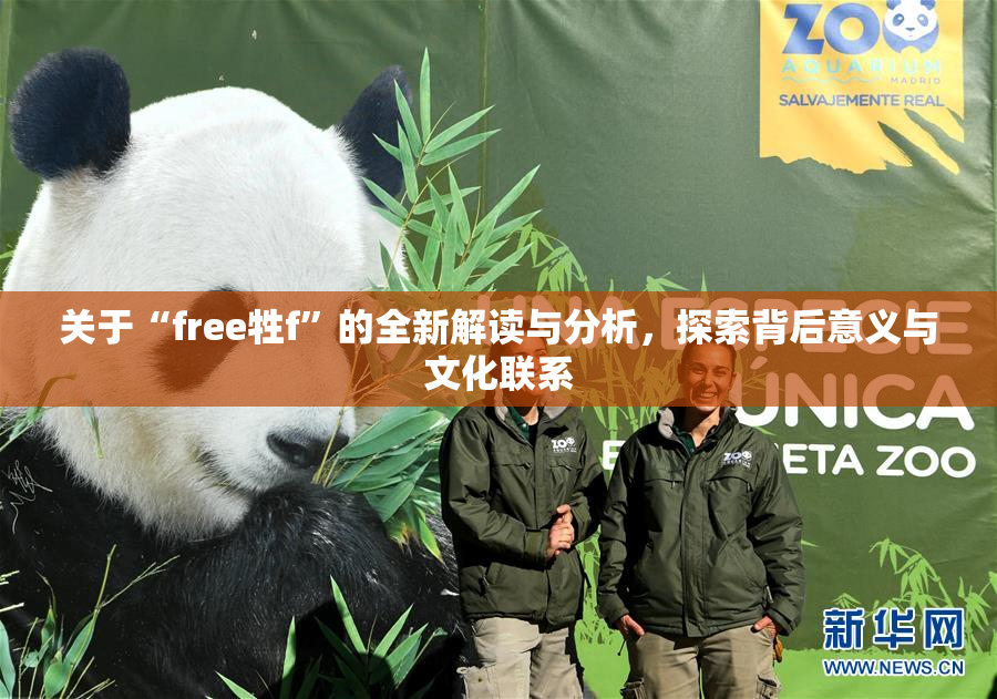 关于“free牲f”的全新解读与分析，探索背后意义与文化联系