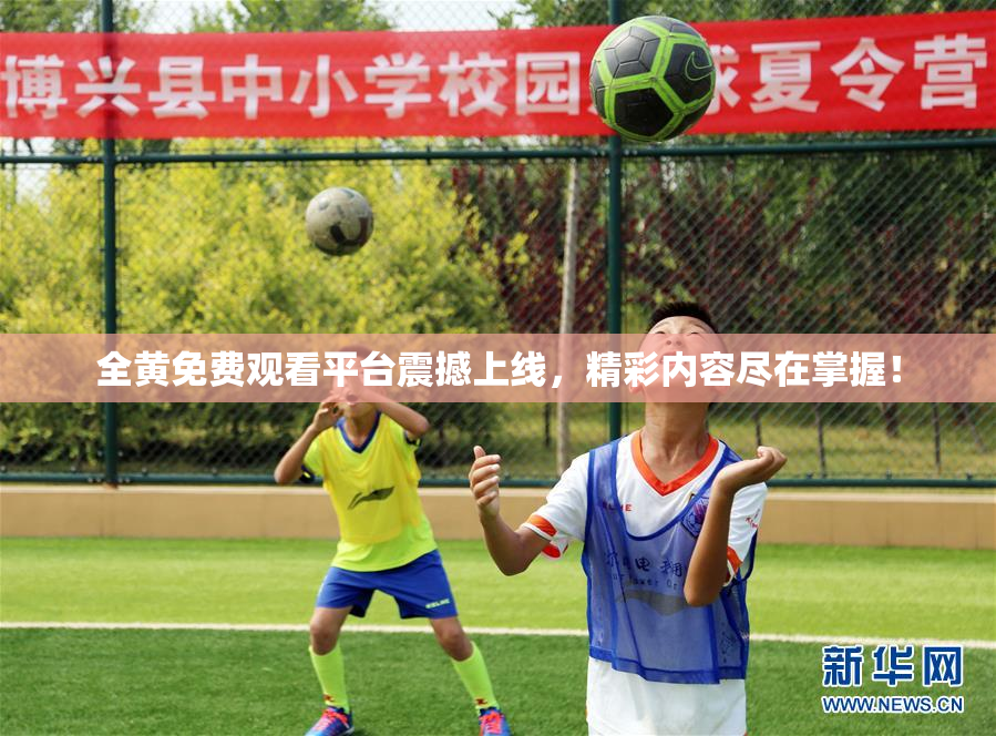 全黄免费观看平台震撼上线，精彩内容尽在掌握！