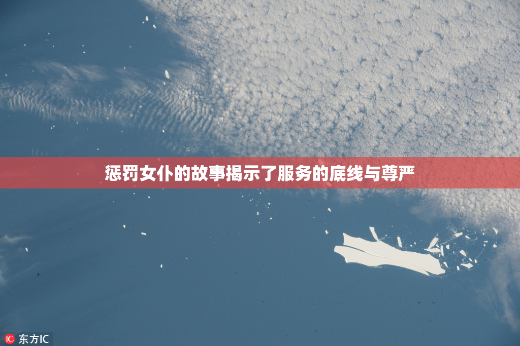 惩罚女仆的故事揭示了服务的底线与尊严