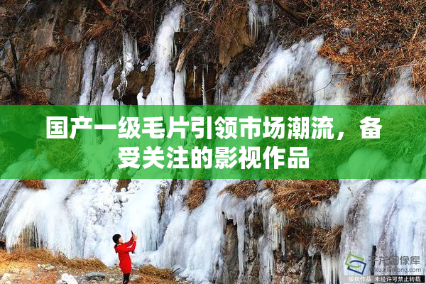 国产一级毛片引领市场潮流，备受关注的影视作品