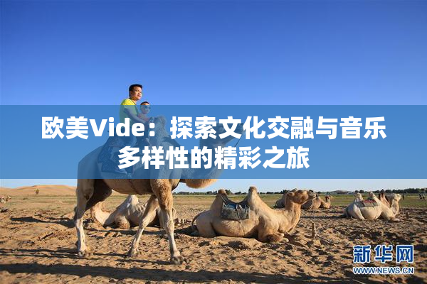 欧美Vide：探索文化交融与音乐多样性的精彩之旅