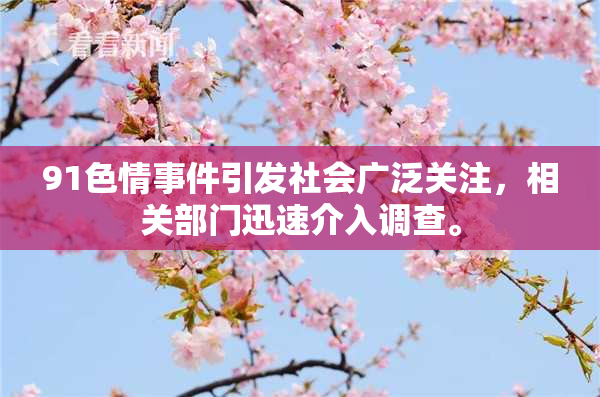 91色情事件引发社会广泛关注，相关部门迅速介入调查。