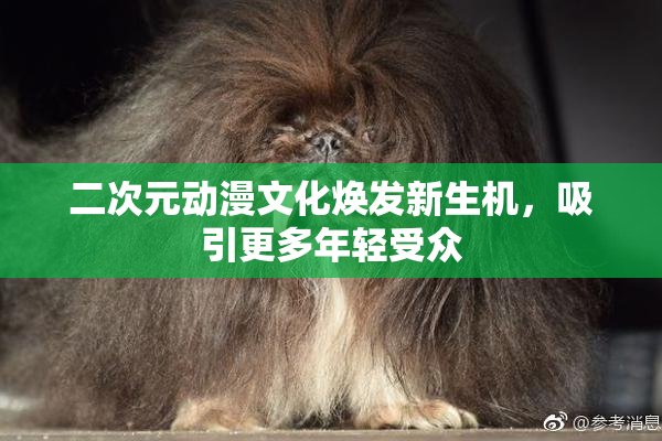 二次元动漫文化焕发新生机，吸引更多年轻受众