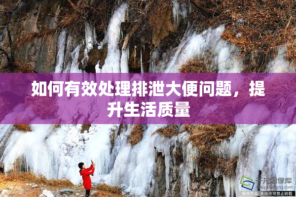 如何有效处理排泄大便问题，提升生活质量