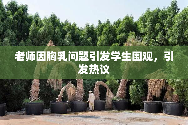 老师因胸乳问题引发学生围观，引发热议