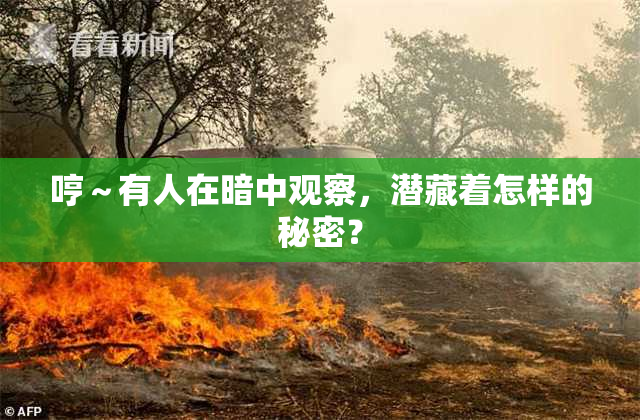 哼～有人在暗中观察，潜藏着怎样的秘密？