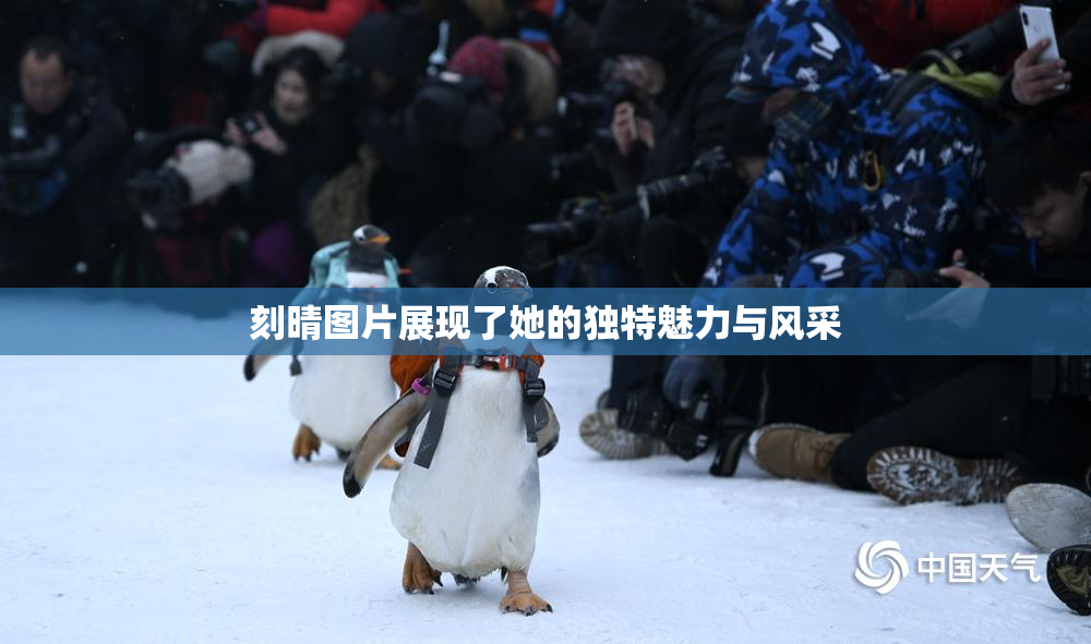 刻晴图片展现了她的独特魅力与风采