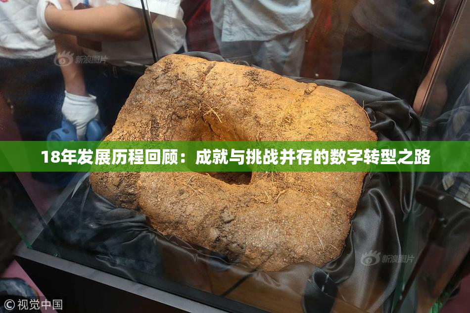 18年发展历程回顾：成就与挑战并存的数字转型之路