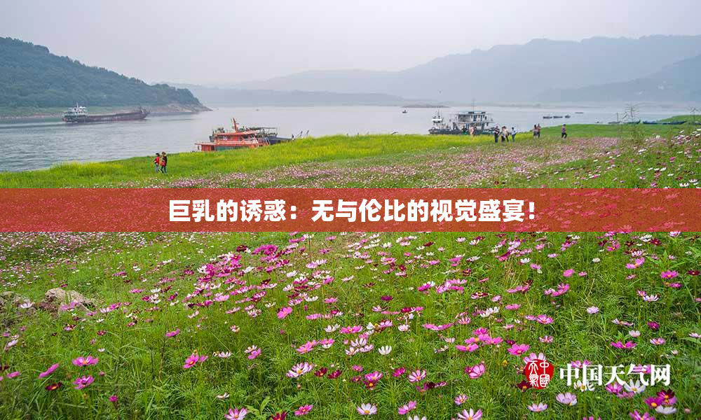 巨乳的诱惑：无与伦比的视觉盛宴！