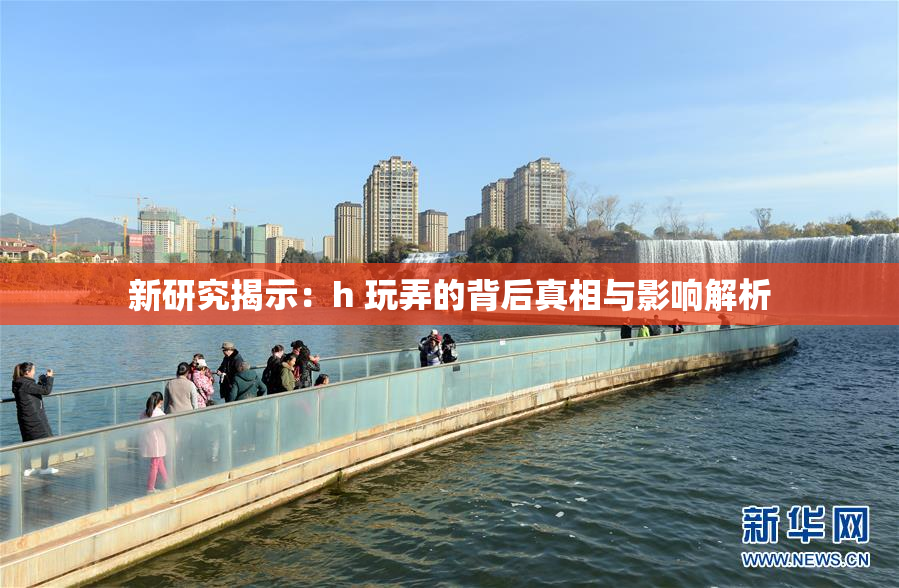新研究揭示：h 玩弄的背后真相与影响解析