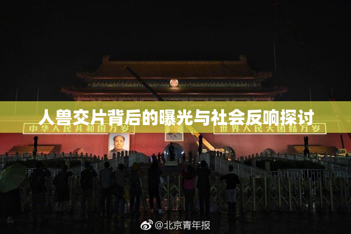 人兽交片背后的曝光与社会反响探讨