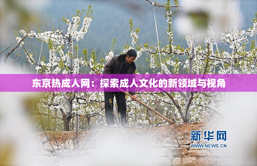 东京热成人网：探索成人文化的新领域与视角