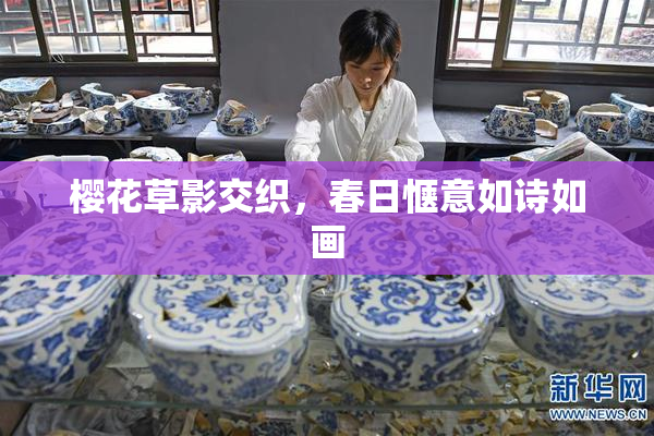 樱花草影交织，春日惬意如诗如画