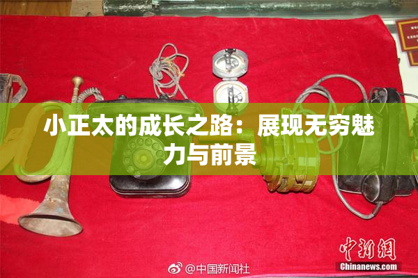 小正太的成长之路：展现无穷魅力与前景