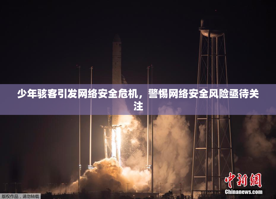 少年骇客引发网络安全危机，警惕网络安全风险亟待关注