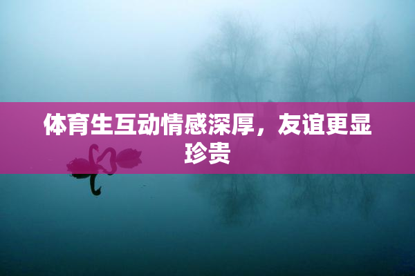 体育生互动情感深厚，友谊更显珍贵
