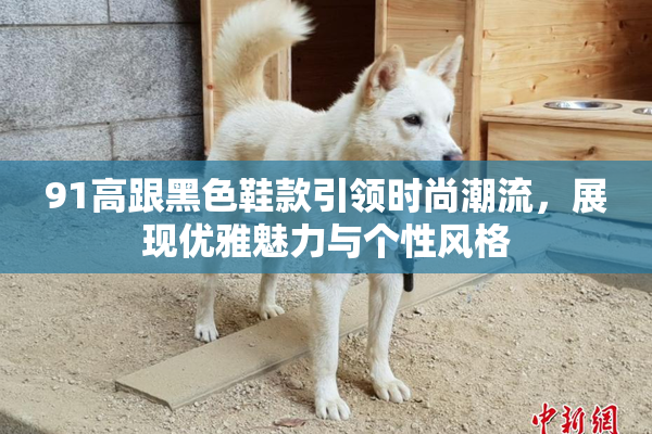 91高跟黑色鞋款引领时尚潮流，展现优雅魅力与个性风格