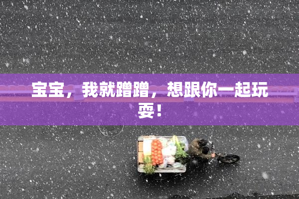 宝宝，我就蹭蹭，想跟你一起玩耍！